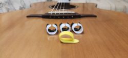 fred-kelly-freedom-picks